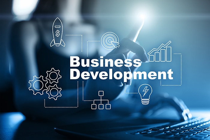 Unveiling the Essence of Business Development 